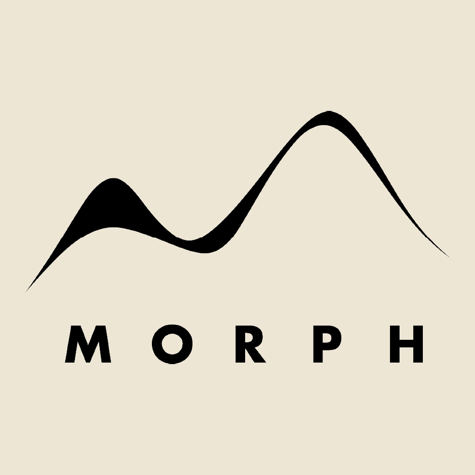 Logo Morph